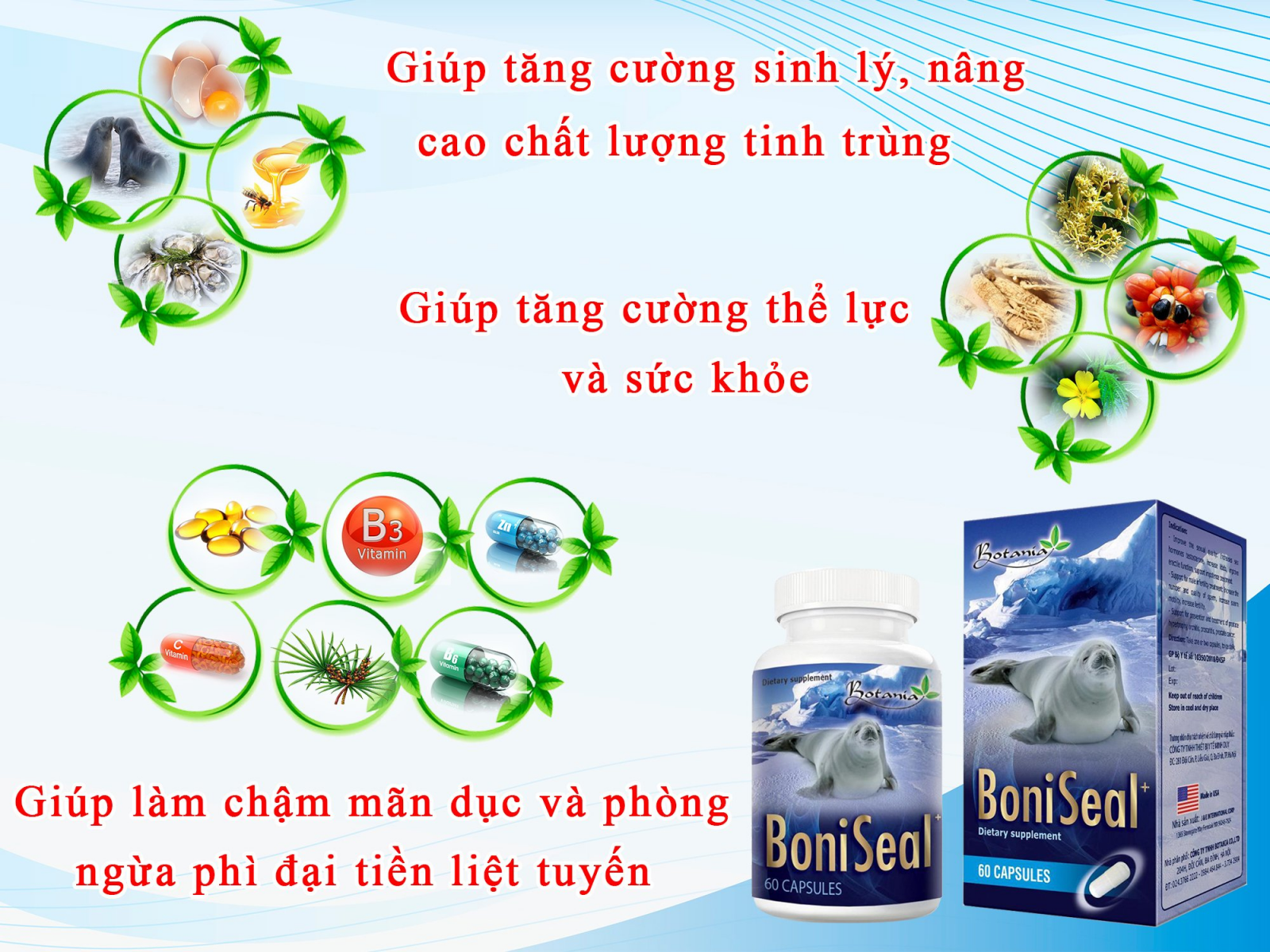 Công thức thành phần của BoniSeal +