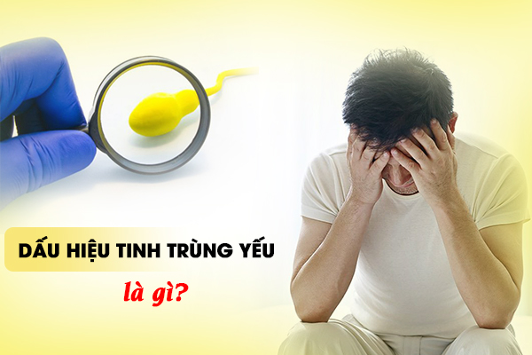 Dấu hiệu tinh trùng yếu là gì? Làm sao để cải thiện chất lượng tinh trùng?