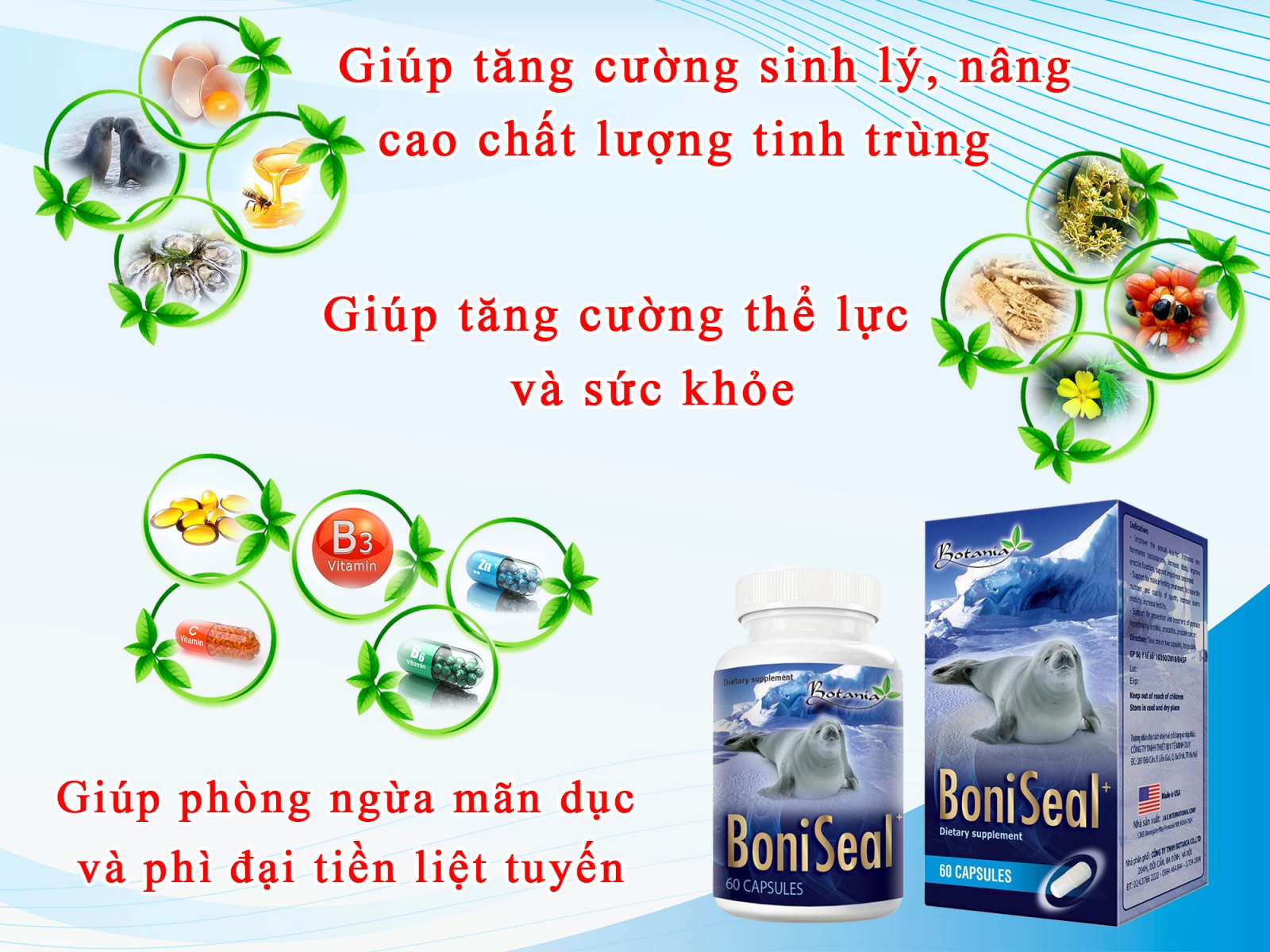 BoniSeal+ là sản phẩm giúp tăng cường sức khỏe sinh lý nam giới có thành phần toàn diện