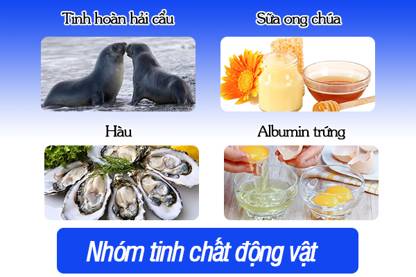 Nhóm tinh chất động vật