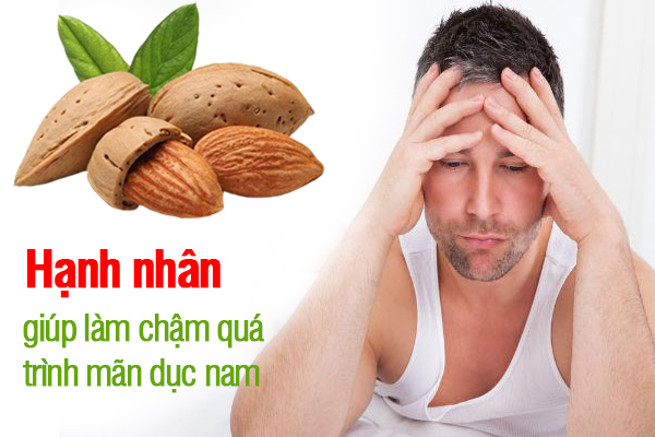 Hạnh nhân giúp làm chậm quá trình mãn dục nam