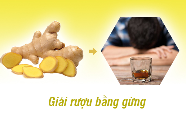 Giải rượu bằng gừng - Những điều bạn cần biết để thu được hiệu quả tốt