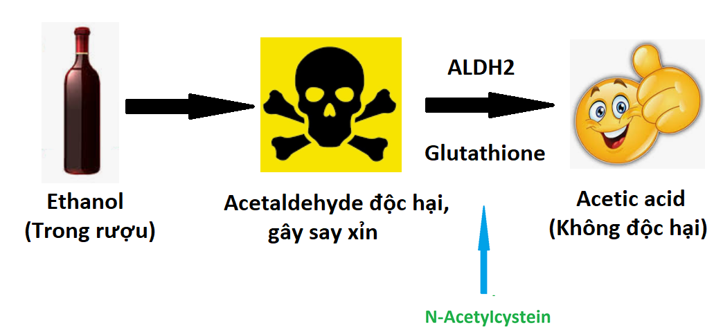 Tác dụng của N- Acetylcystein