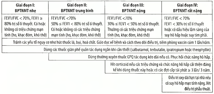 Chẩn đoán mức độ và điều trị COPD theo giai đoạn bệnh ở thời kỳ ổn định