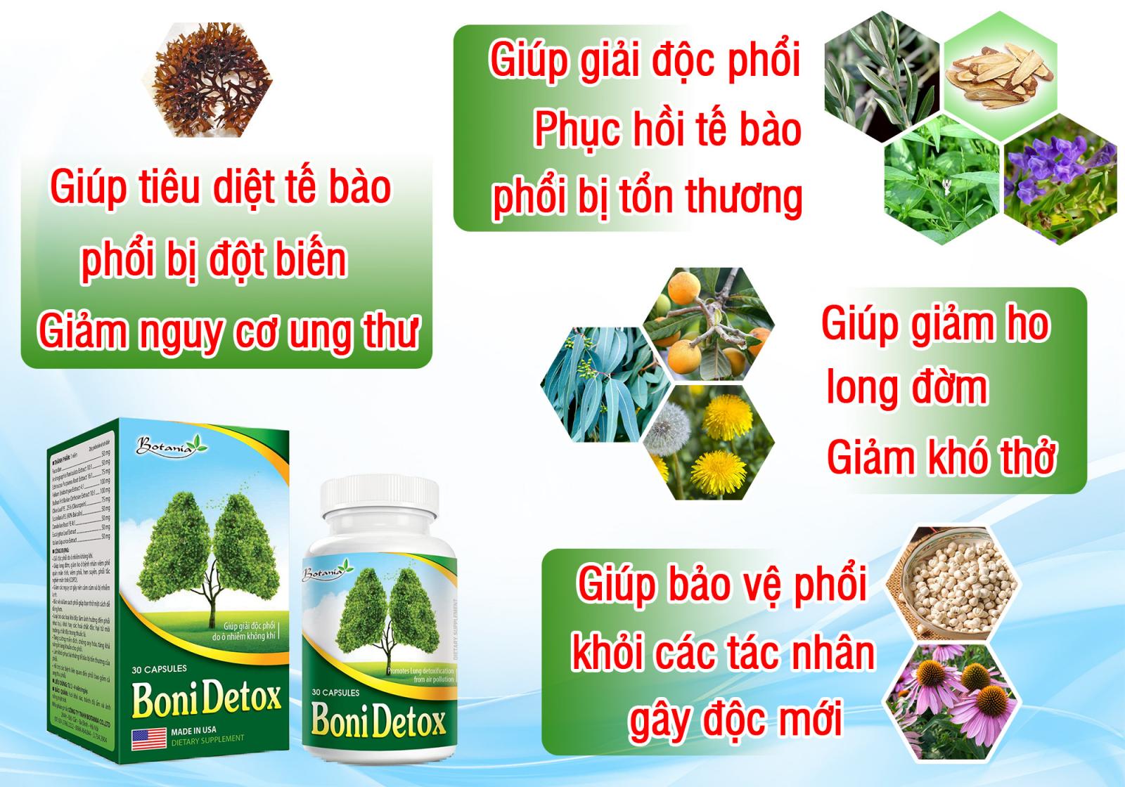 Thành phần BoniDetox