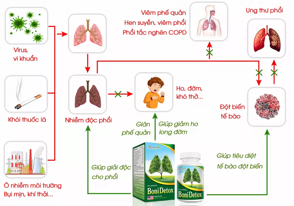 CÔNG DỤNG CỦA BONIDETOX