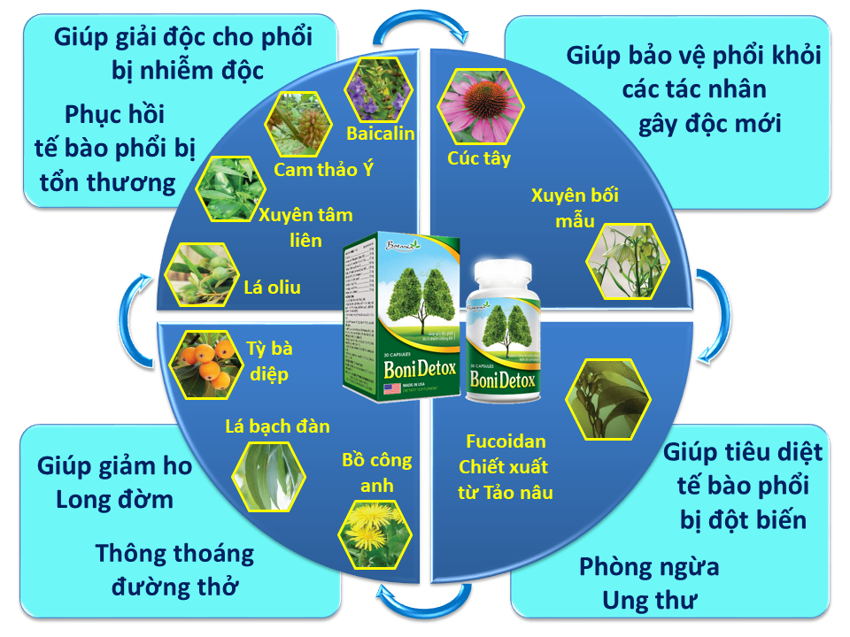 Các thành phần trong Bonidetox