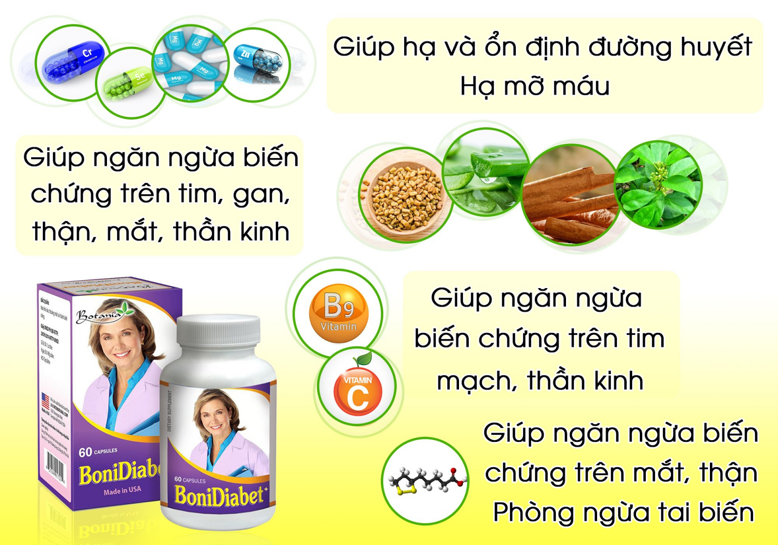 Thành phần toàn diện của BoniDiabet +