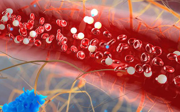 Triglyceride cao - Mối nguy hiểm tiềm tàng ở người bệnh tiểu đường