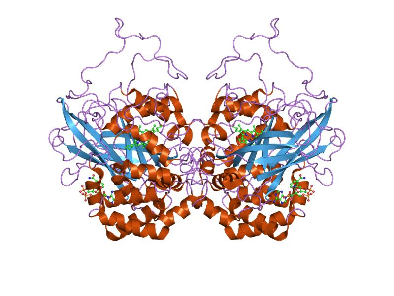 Enzyme catalase trong BoniHair giúp tác động vào căn nguyên gây bạc tóc