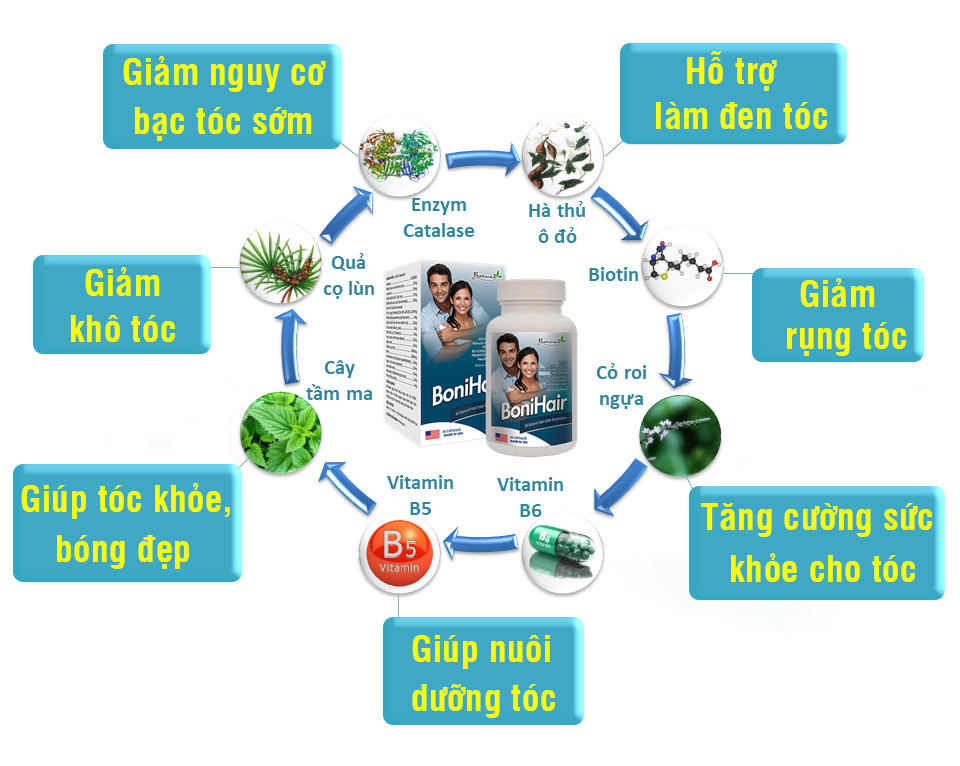 Thành phần của sản phẩm BoniHair trị tóc bạc sớm