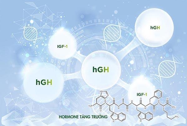 Hormone tăng trưởng giúp tái tạo giấc ngủ sinh lý tự nhiên