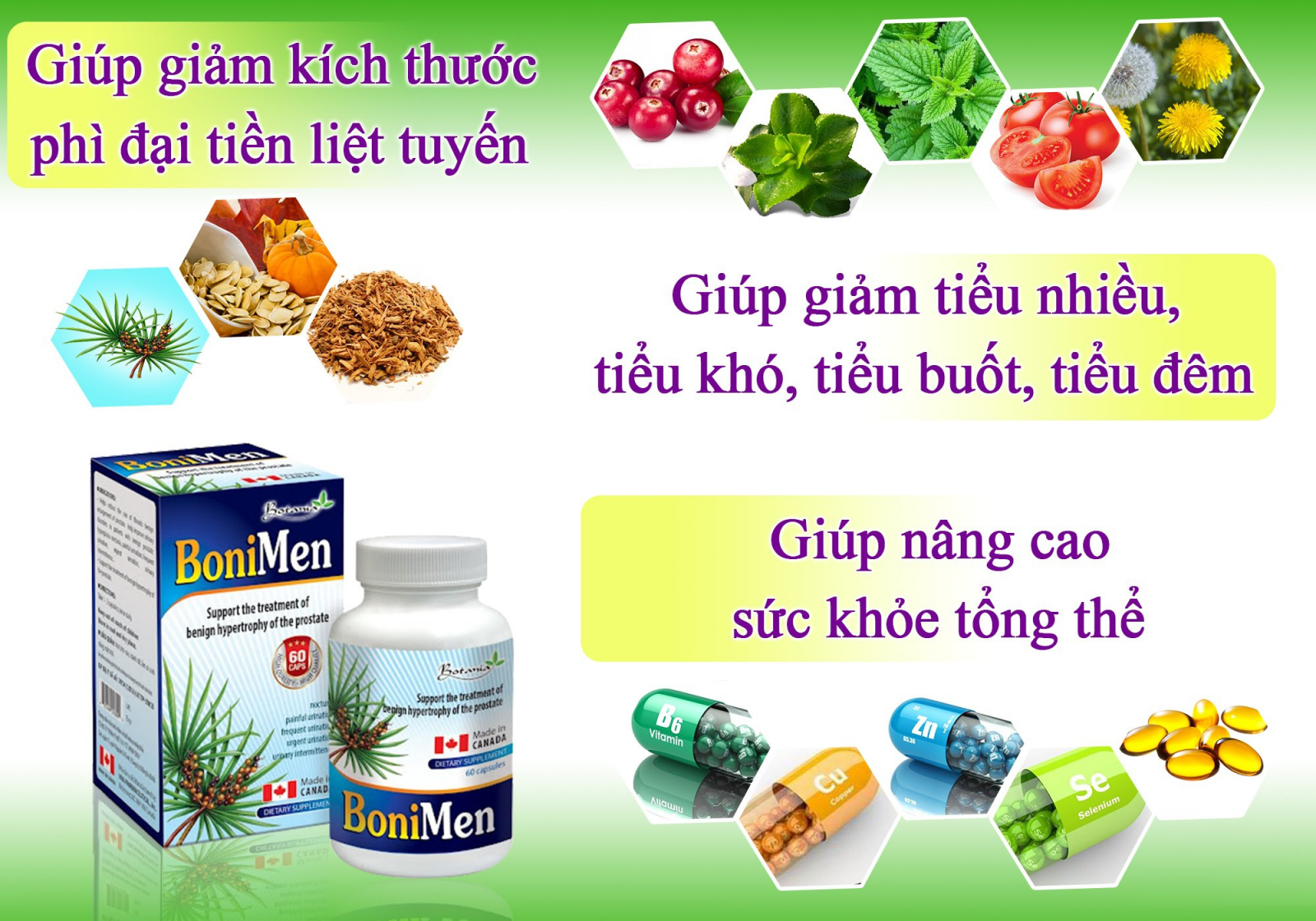 Công thức ưu việt của BoniMen