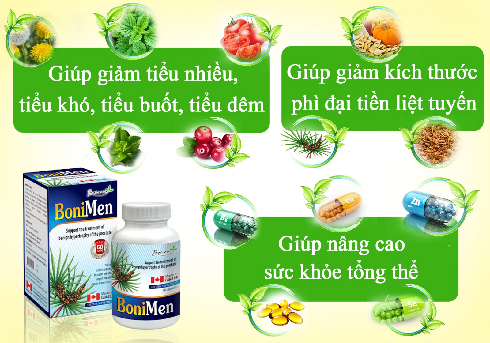 Thành phần của sản phẩm BoniMen