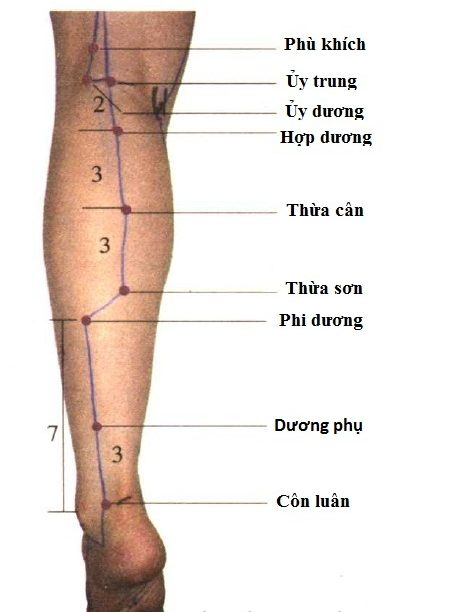 Vị trí các huyệt đạo ở chân