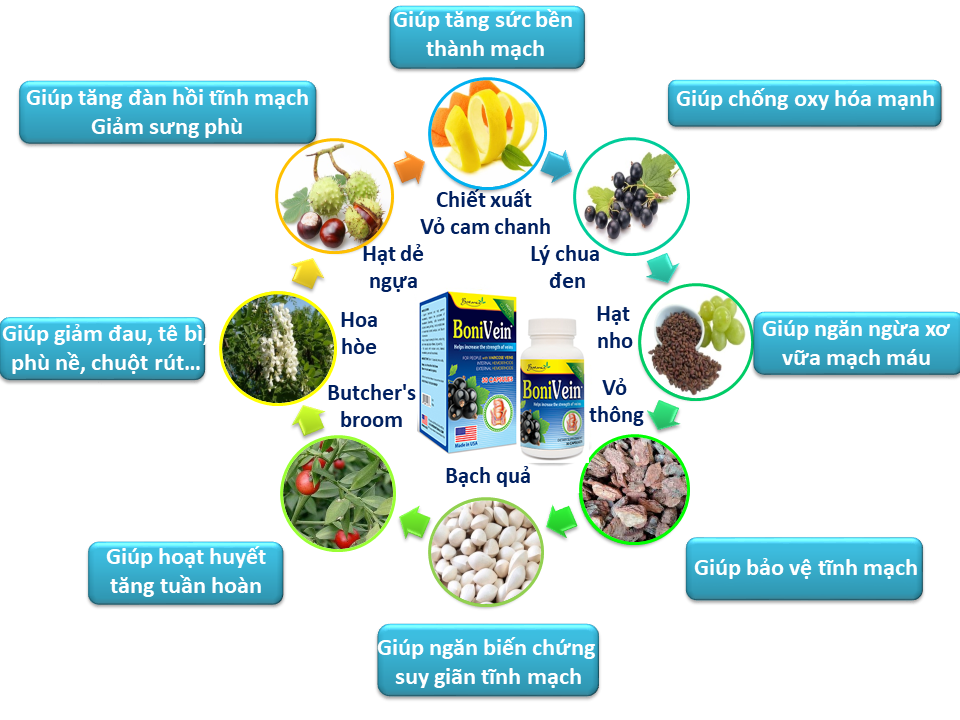  Công thức toàn diện của BoniVein +