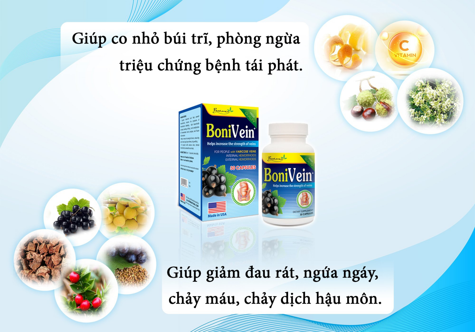  Thành phần của BoniVein +