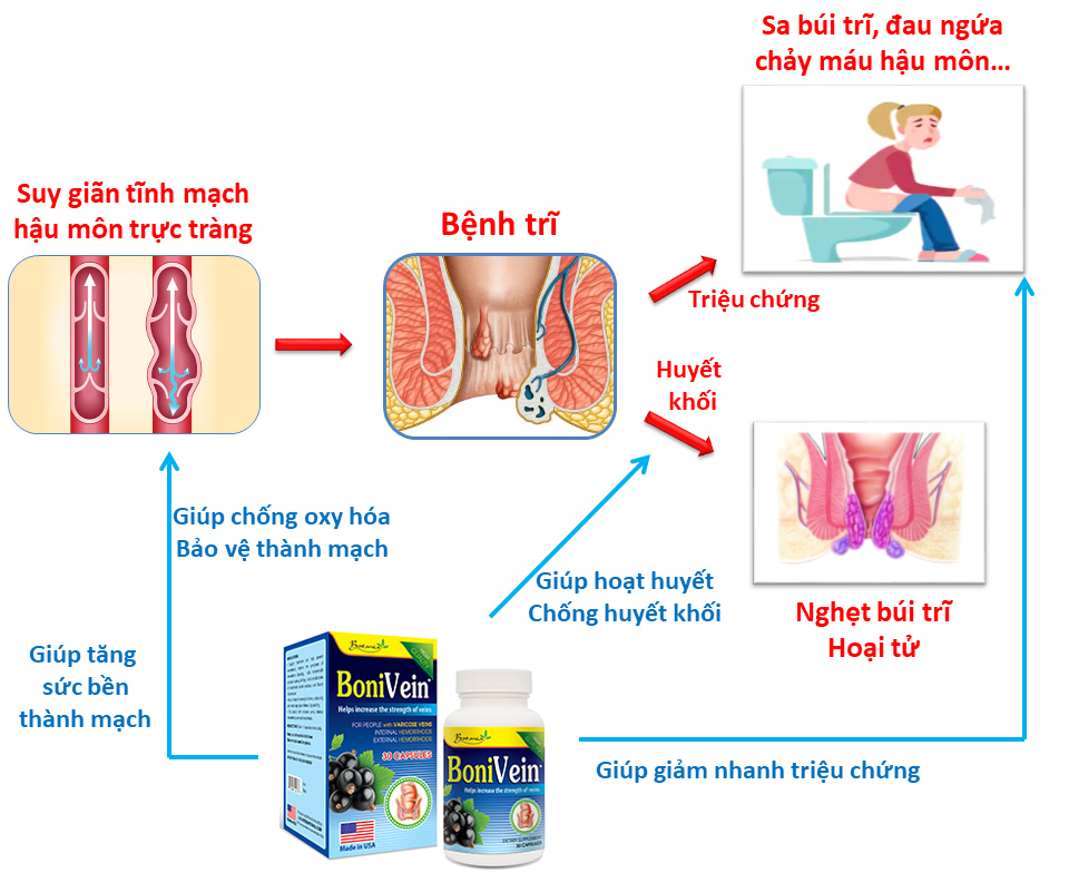 Tác dụng toàn diện của BoniVein+