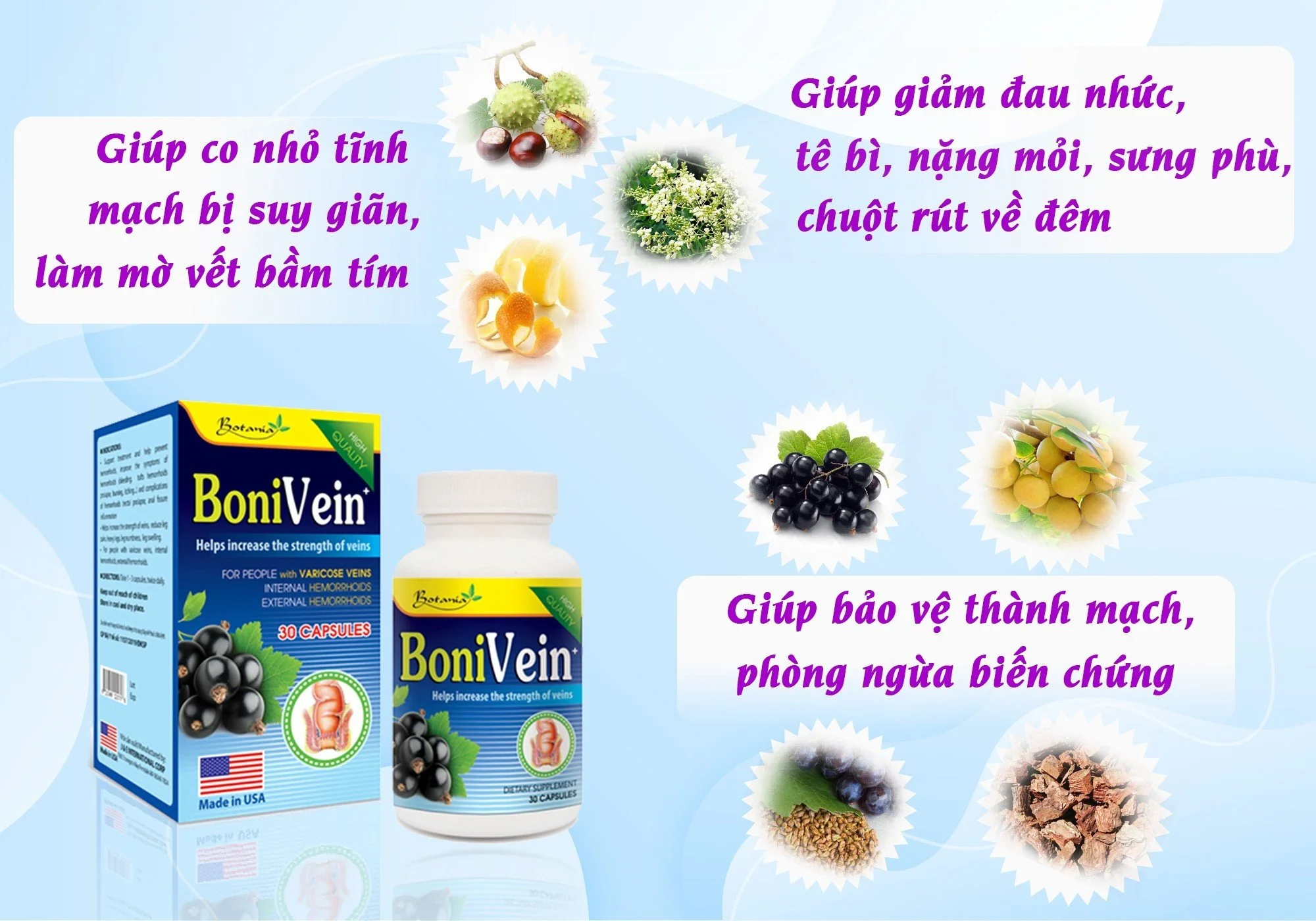 Thành phần của BoniVein suy giãn tĩnh mạch