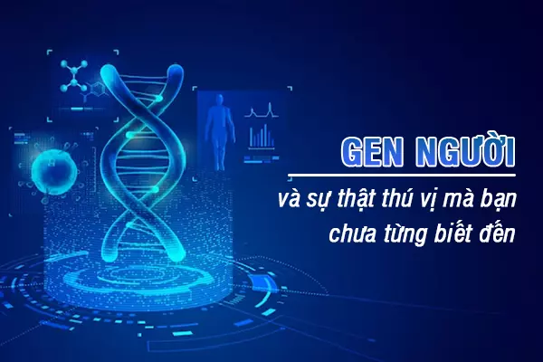 Những sự thật thú vị đằng sau bộ gen người mà bạn chưa từng biết đến!