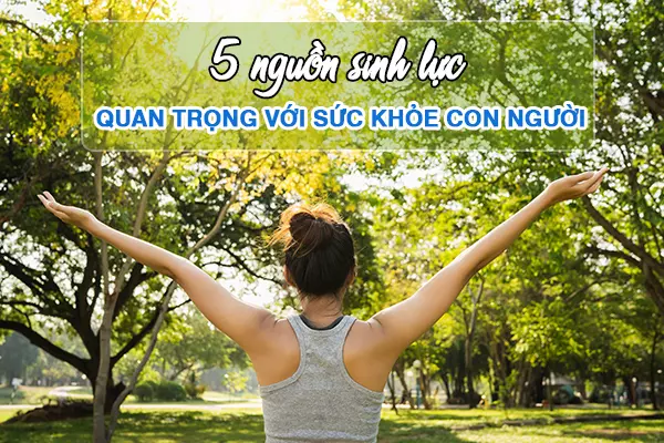 5 nguồn sinh lực quan trọng với sức khỏe con người