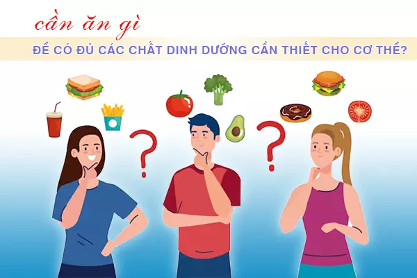 Chúng ta cần ăn gì để có đủ các chất dinh dưỡng cần thiết cho cơ thể?