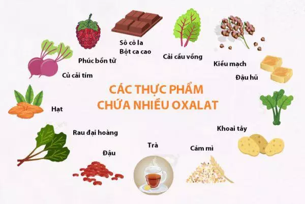 Một số loại thực phẩm giàu oxalate