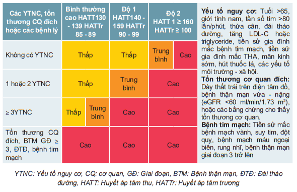 Bảng phân tầng nguy cơ tim mạch ở người bệnh tăng huyết áp