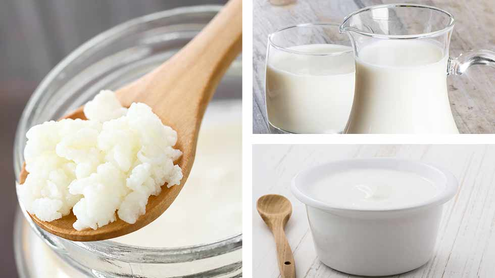 Sữa chua kefir là nguồn lợi khuẩn dồi dào