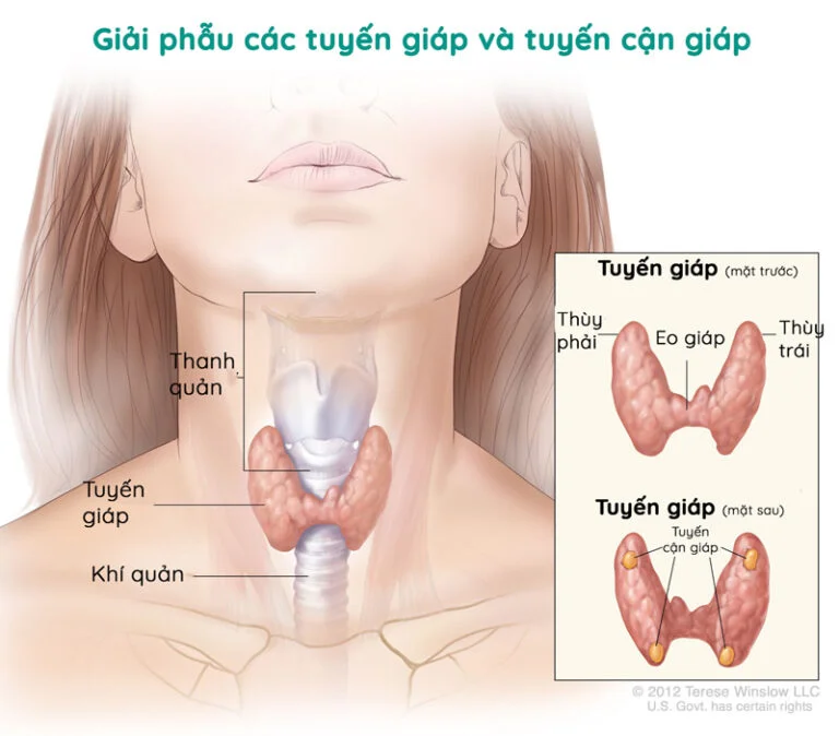 Tìm hiểu về mổ tuyến giáp - Khi nào bệnh nhân cần phải mổ tuyến giáp?