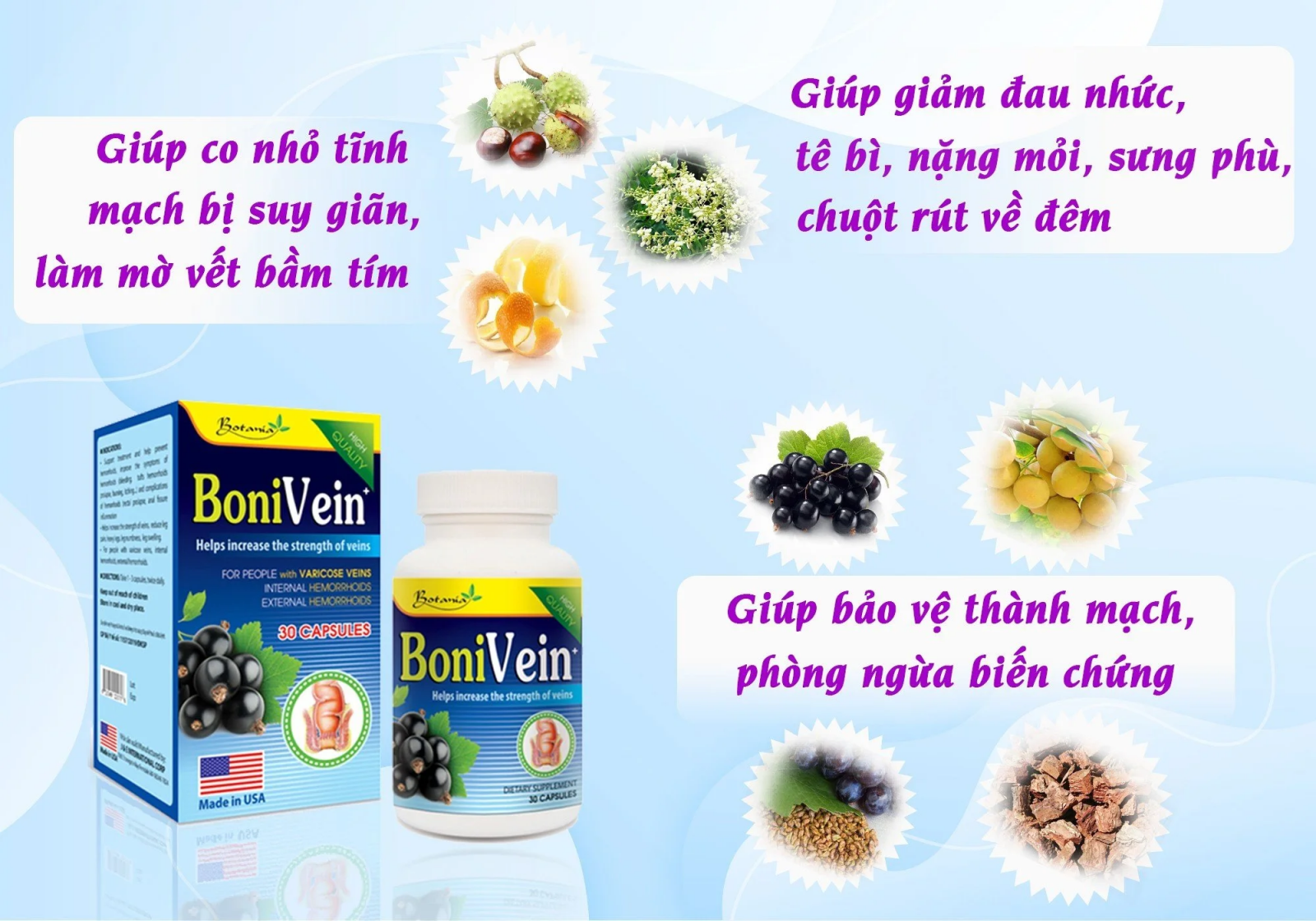 Cơ chế tác dụng toàn diện của sản phẩm BoniVein +